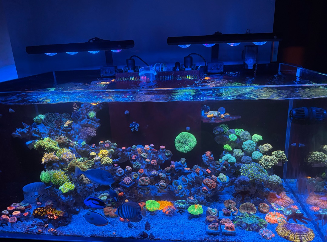 Tank Image