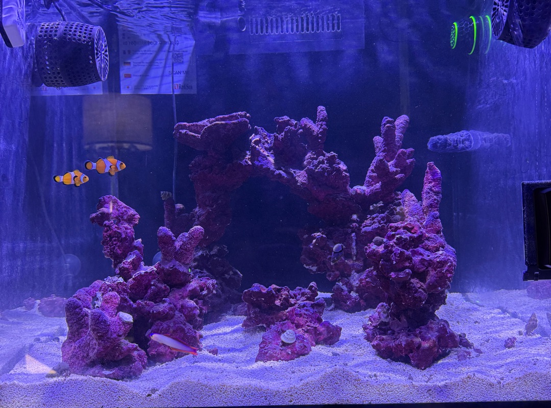 Tank Image