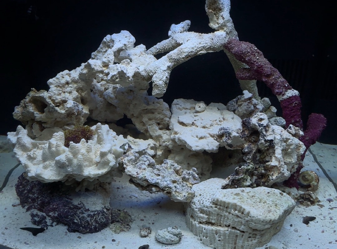 Tank Image