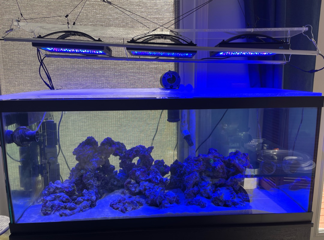 Tank Image