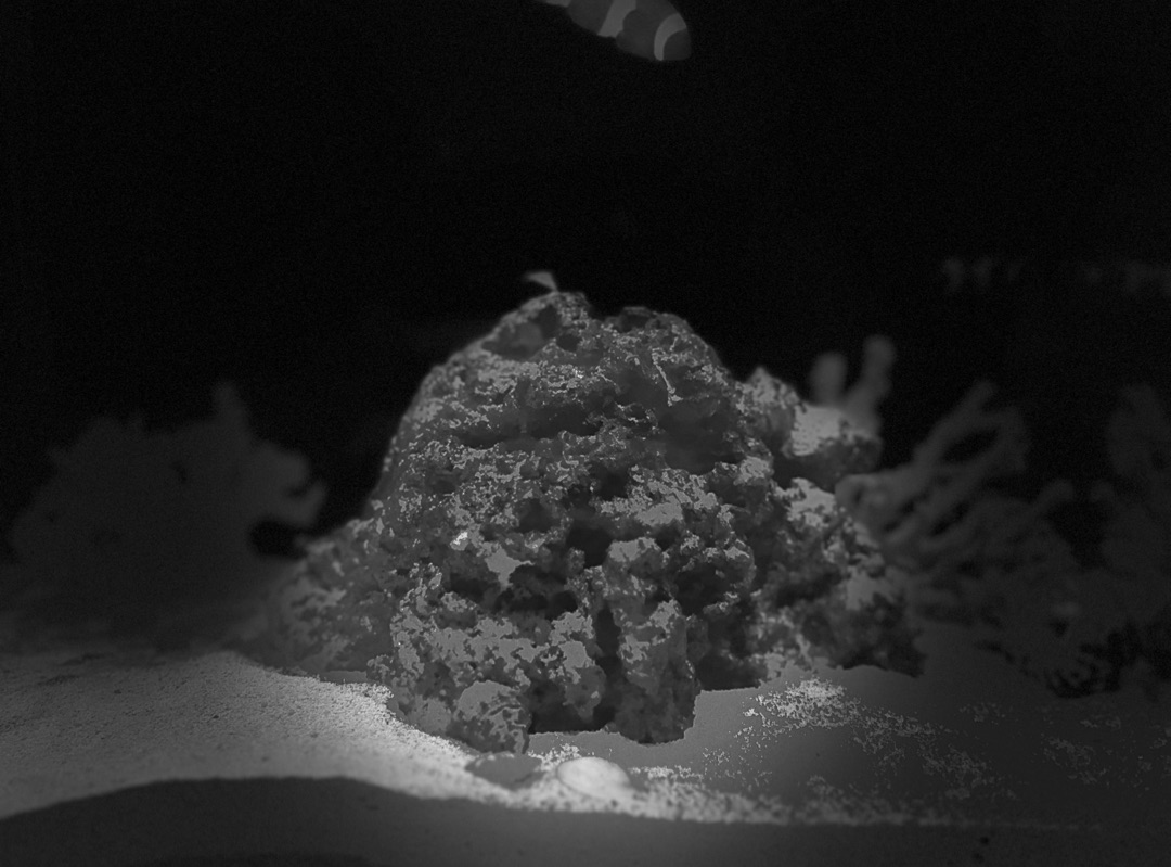Tank Image