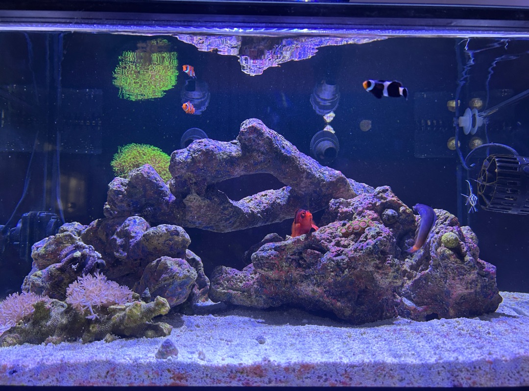 Tank Image