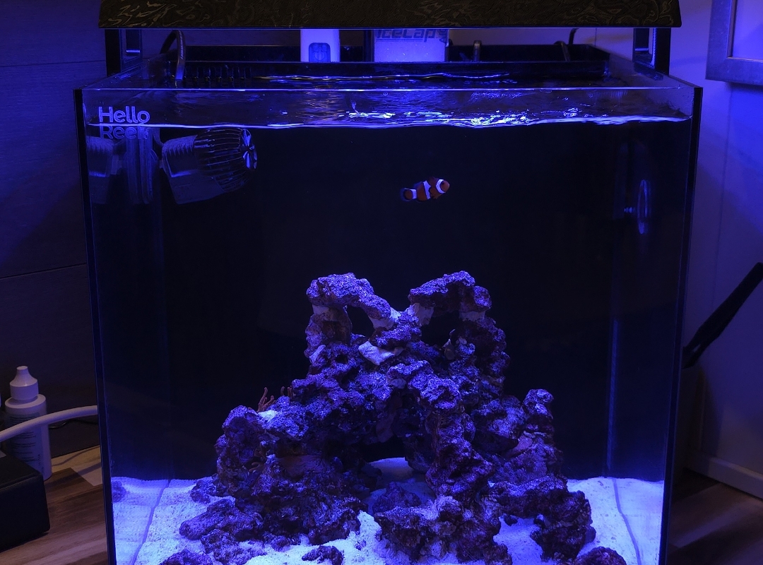 Tank Image