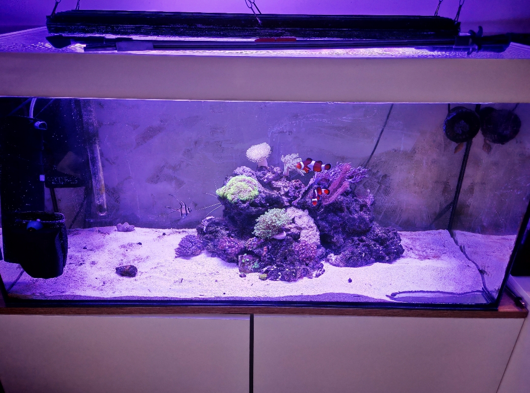 Tank Image