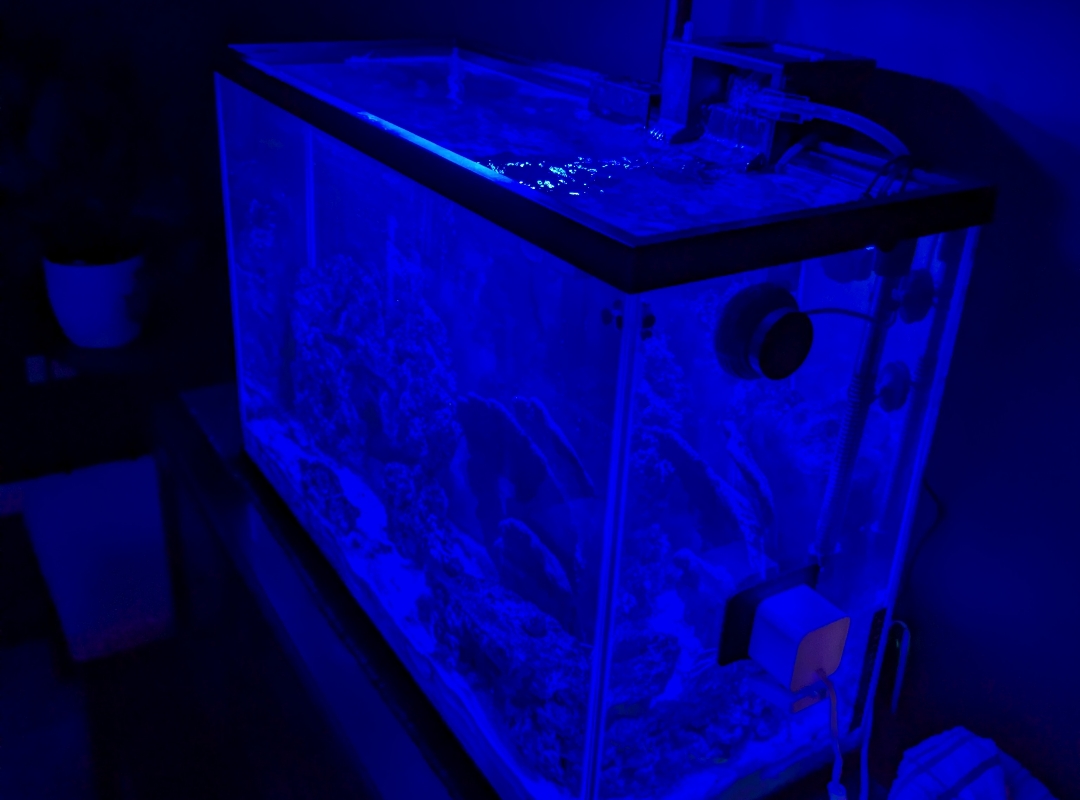 Tank Image