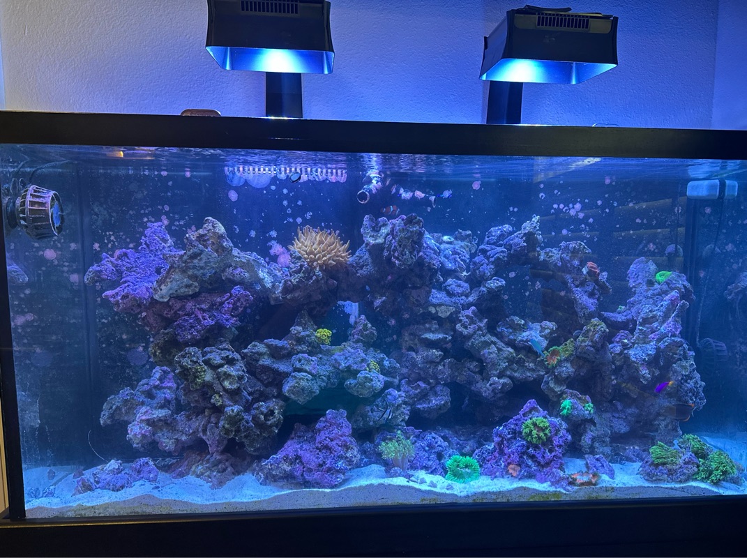 Tank Image