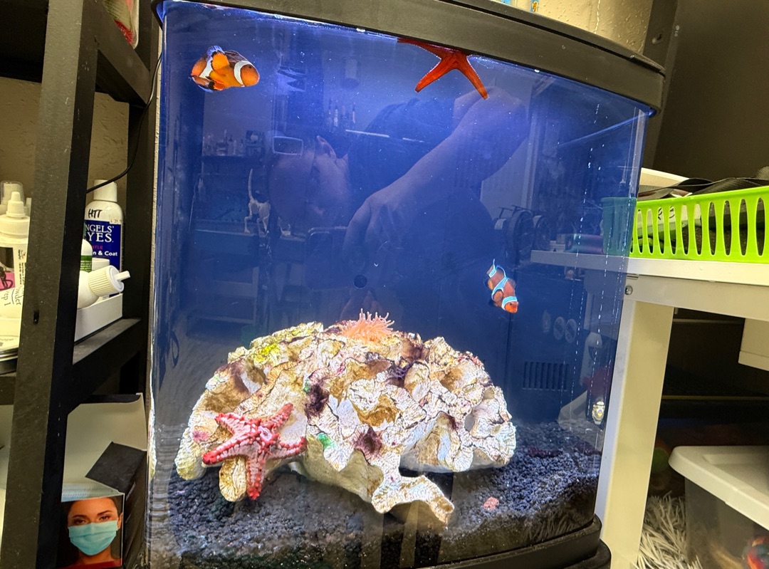 Tank Image